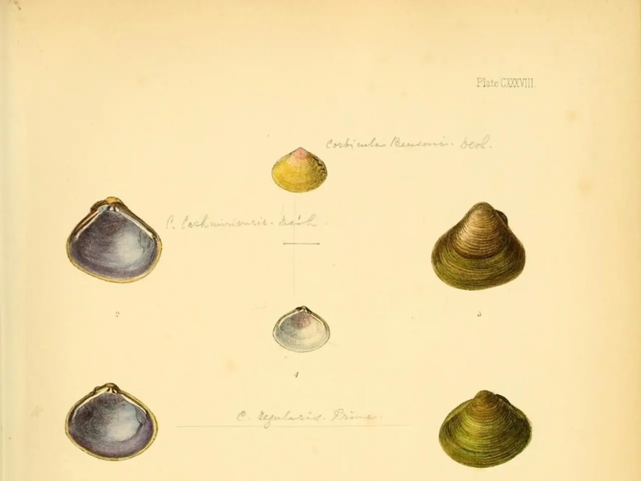 Making a Record: A Guide to the Process