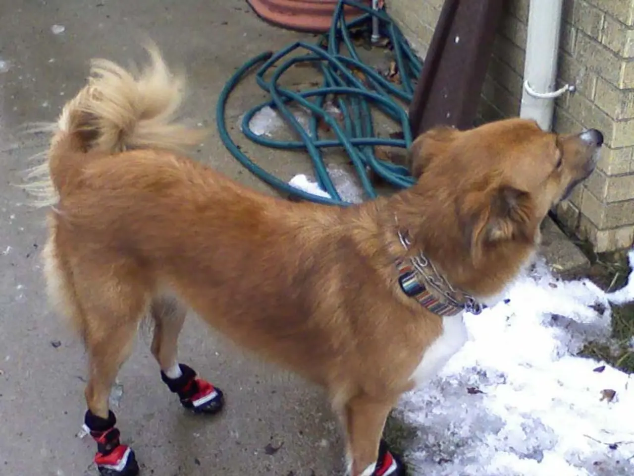 Struggling Performance for Doge and Pi Network as BlockDAG's Physical Hardware Gains Traction,...