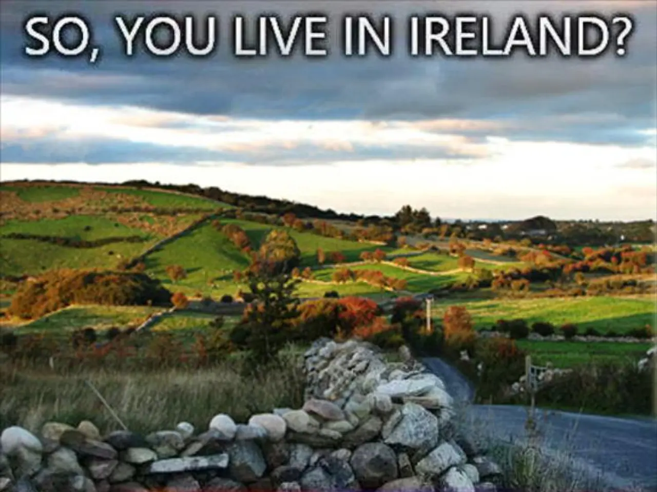 Aerial wildfire detection soars into action