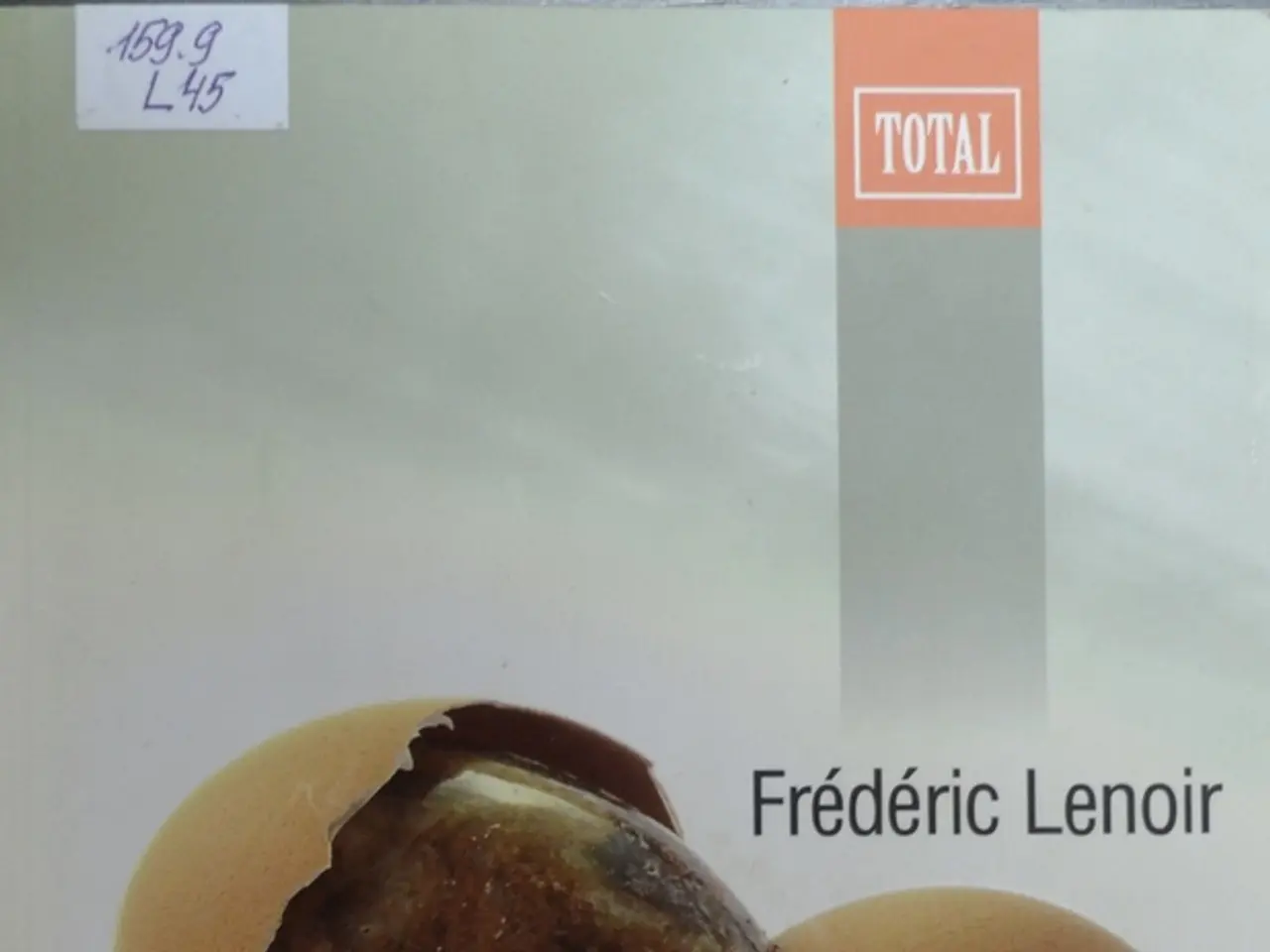 Phison, a producer of SSDs, has exonerated its reputation following concerns about Windows 11...