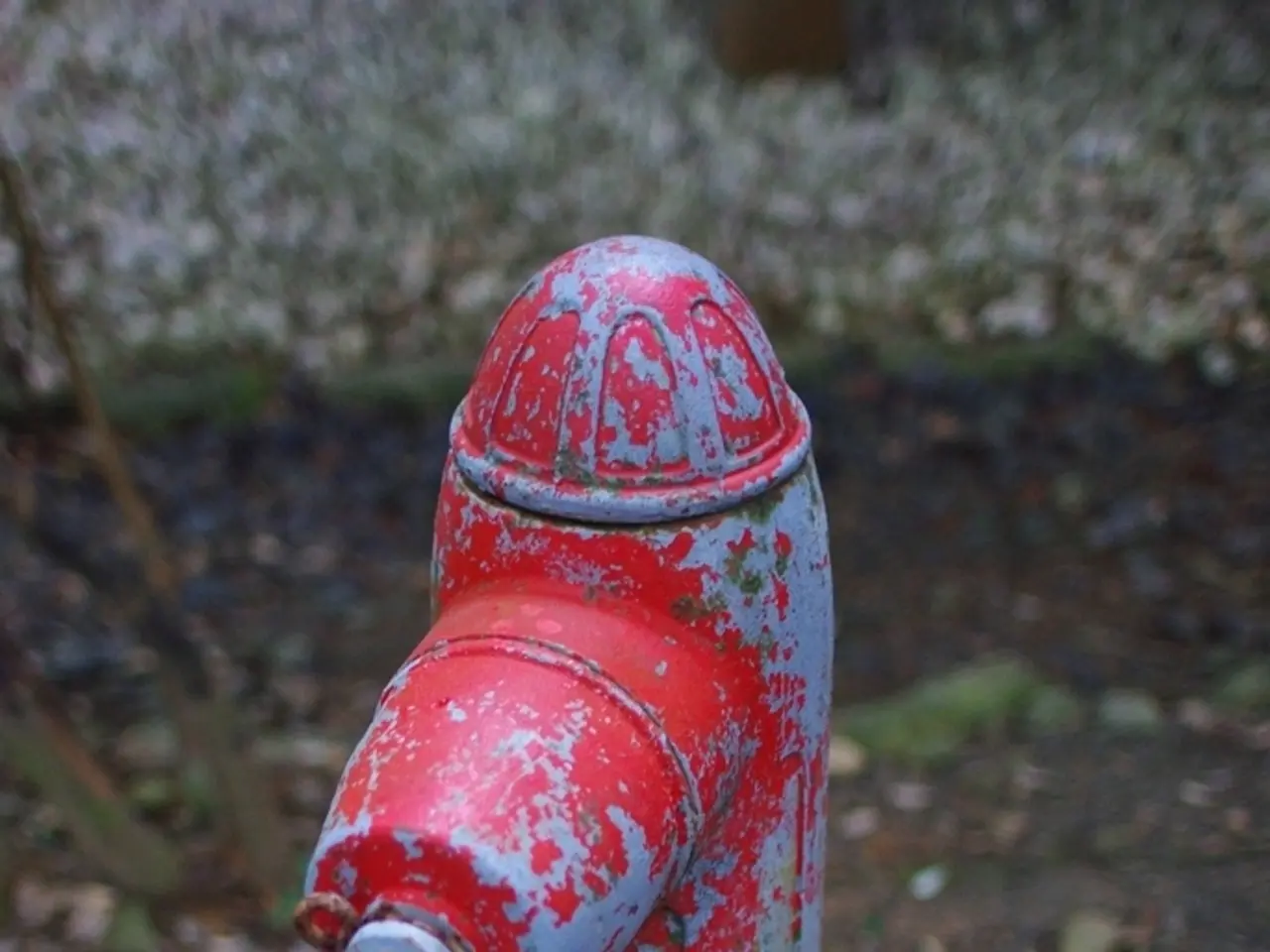 Exploring Infrequent Sights: Journey Along the Rhine River at Koblenz