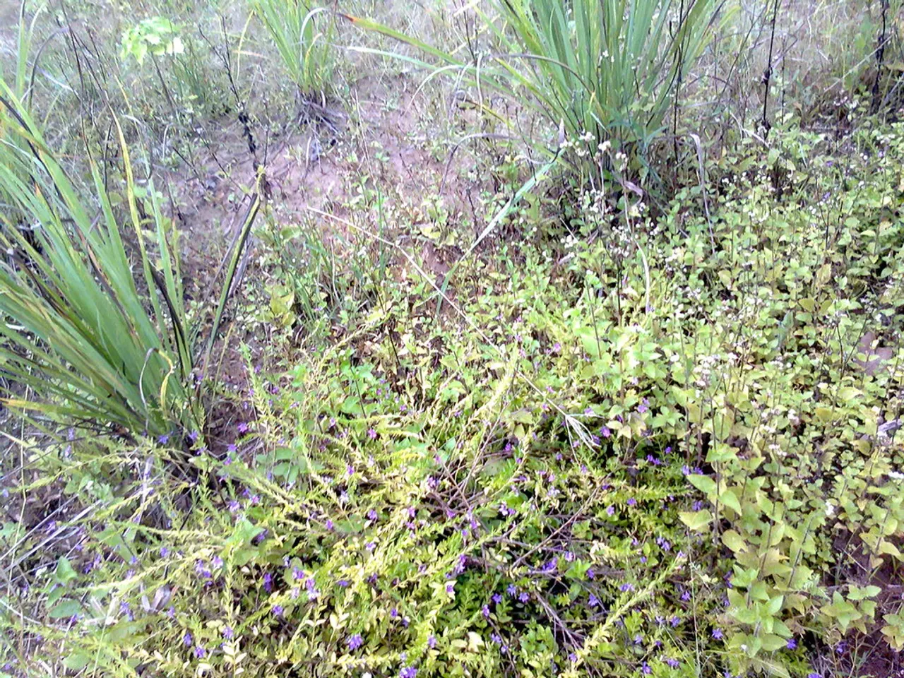 Tips for Accurate Salinity Measurements with the Apex Salinity Probe - BRStv Reef FAQs Answers