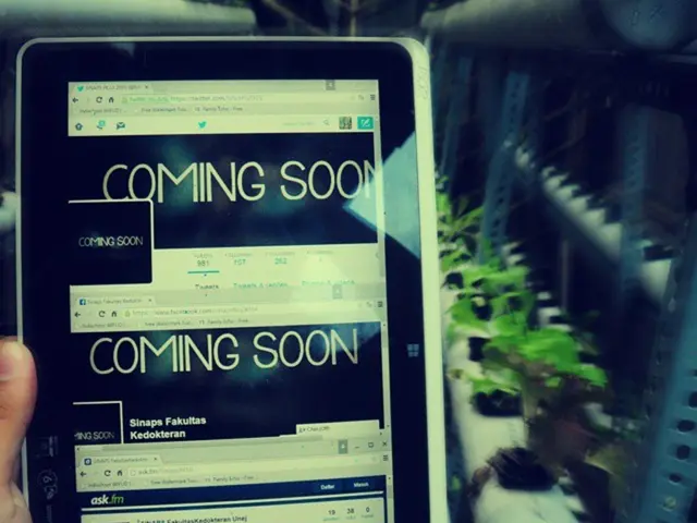 Craft Your Own Stylus with Simple Household Items: A DIY Guide