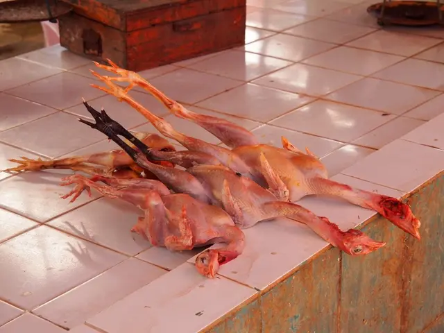 "McFly's Questionable Actions Spark Controversy?"