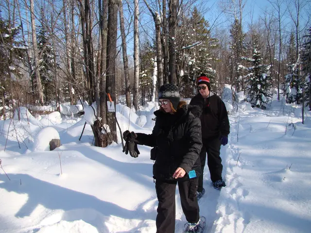 Affordable Oakley goggles with improved ventilation and excellent contrast are available at a...