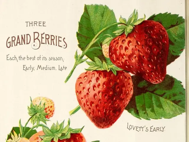 User prefers digital reading of e-books over traditional books for convenience.