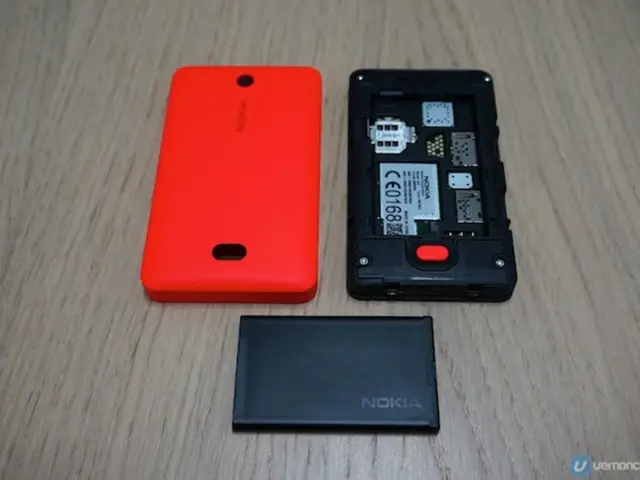 Critical, Yet Overlooked Components for Lithium-Ion Batteries: The Key Materials Fueling the...