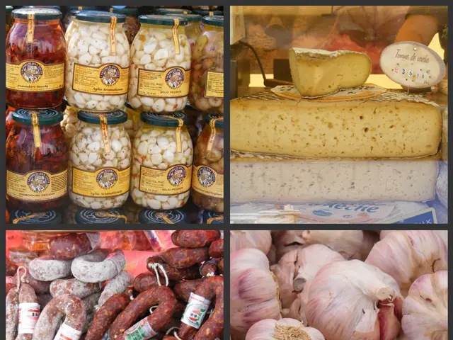 Developing Image Segmentation Systems for Enhanced Applications