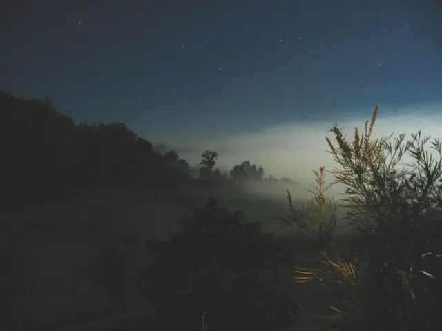 Image Modification Techniques in Python: Guidance