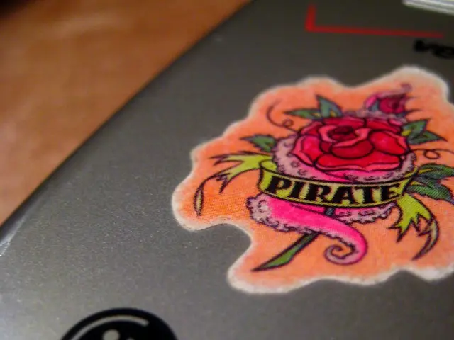 Strategies for Designing Infographic Emails for Your Newsletters