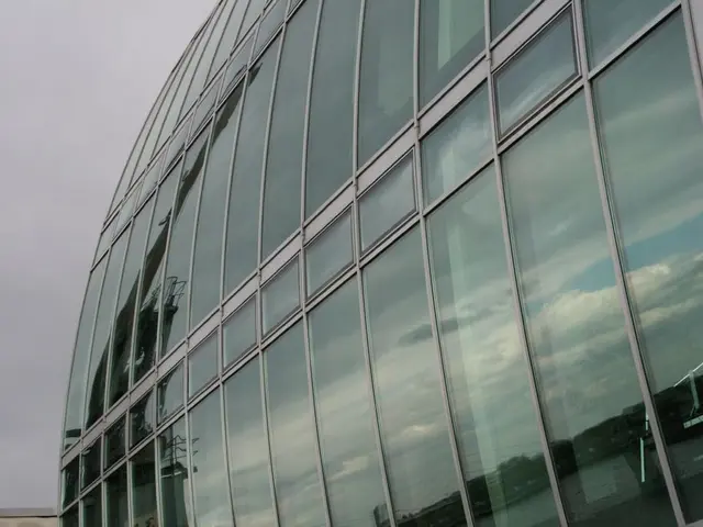 Confirmation of Insolvency Plan by Court for Organization GmbH and Finalization of Investor...