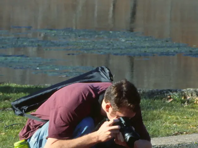 Portable sensor for swift dehydration identification