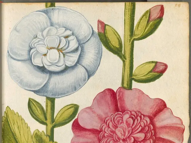 Blooms in Chiostro del Bramante - Art Ranging from the Renaissance Era to Modern Artificial...