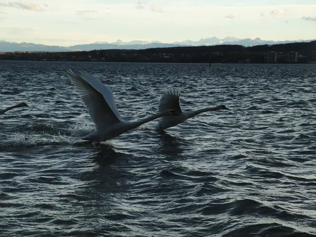 Ranking of the Biggest Cranes in the World in 2025