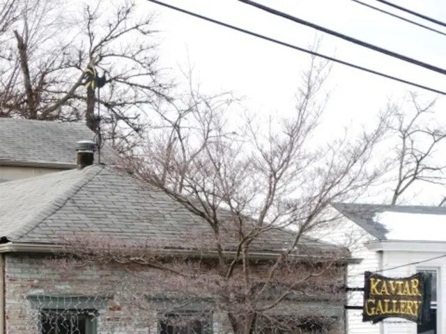 Acquiring Mobile Solar Panels for Domestic Use: Essential Information You Should Be Aware Of