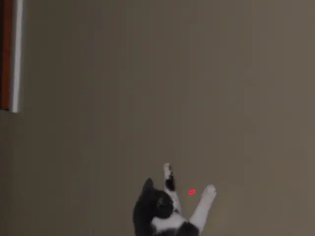 America's Strongest Laser Now Officially ZEUS: Boasts a 2-Petawatt Burst Power