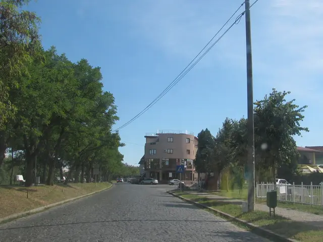 Website Autovista24 employs cookies to enhance user's visit