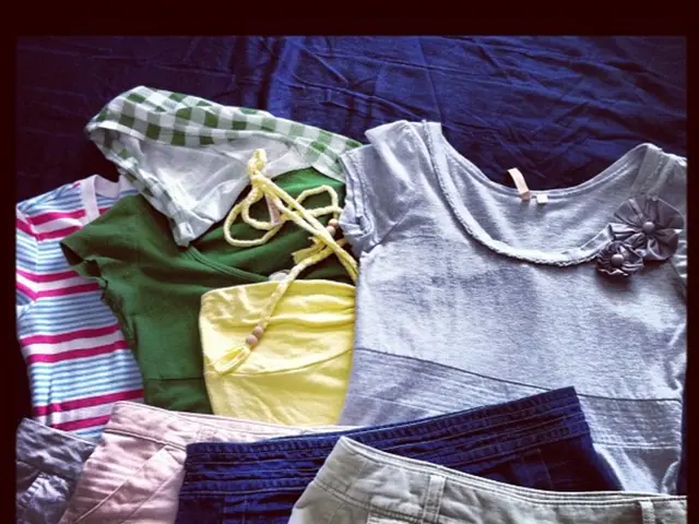 Color principles in fashion designs for the year 2025