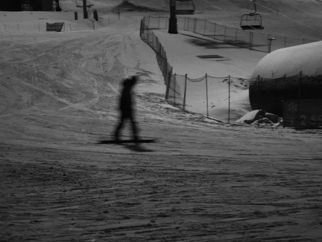 Details on the Snowflake Customer Assaults: Facts Revealed