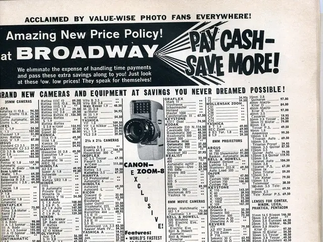 Launching a Domain and Web Hosting Business: Step-by-Step Guide