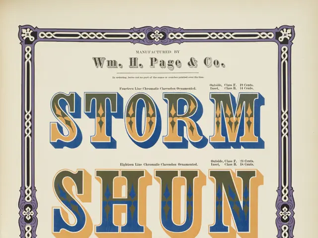 Cost-Savvy Strategies for Affordable Graphic Design Services