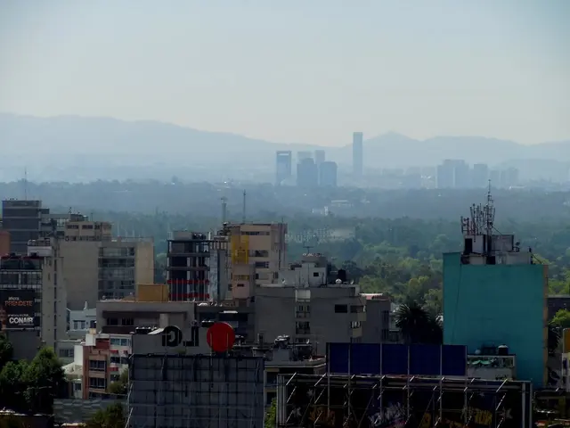 Introduction to Shiba Inu Ecosystem: Exploring SHIB, BONE, LEASH, TREAT, and Beyond