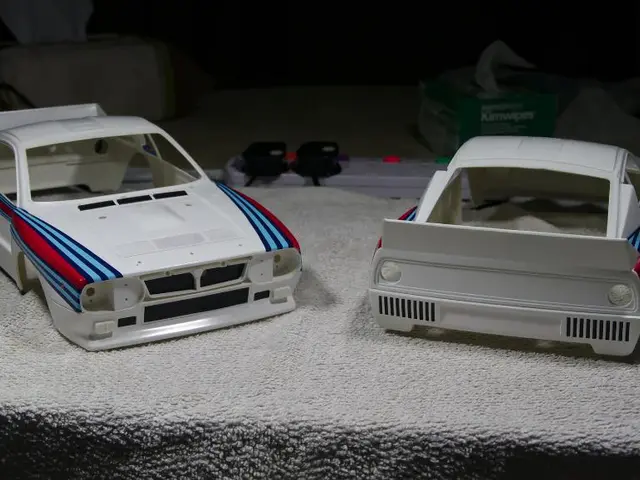 Animal spins reveal location of magnetic cells through innovative method