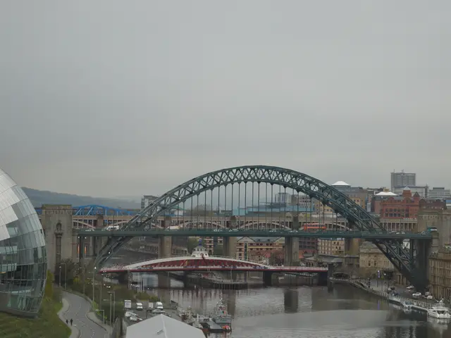 Housing's latest development: Neighbor Bill and persistent calls from debt collectors – a new norm...