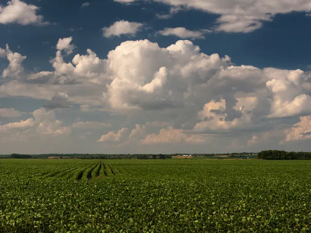 Impact of environmental motifs in modern cinema production