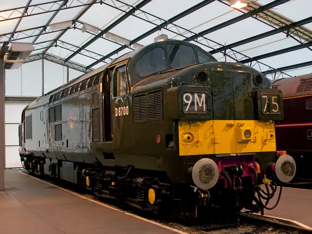 Awaiting the professional tests confronting Victoria Alekseyenko by our crowd