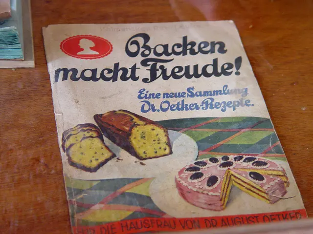 European Union's Internet Push: European Commission Introduces New Promotion Strategy