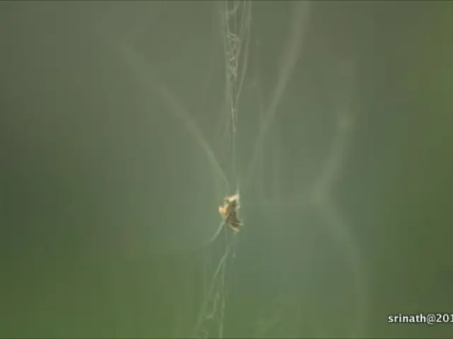 Starting in October, Google Chrome will label all websites with text input fields as "Not Secure"...