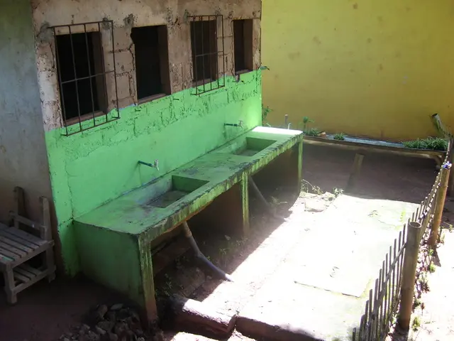 Network Interruption at Polygon: Validator's Departure Leads to Momentary Disruption