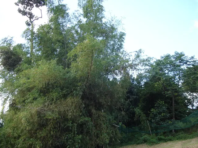 Enhancing Your Corporate Network through the Top 6 Methods of Software-Defined Networking