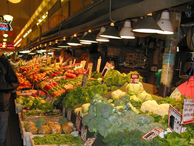 Construction Expense for Establishing an eCommerce Business on Shopify Plus