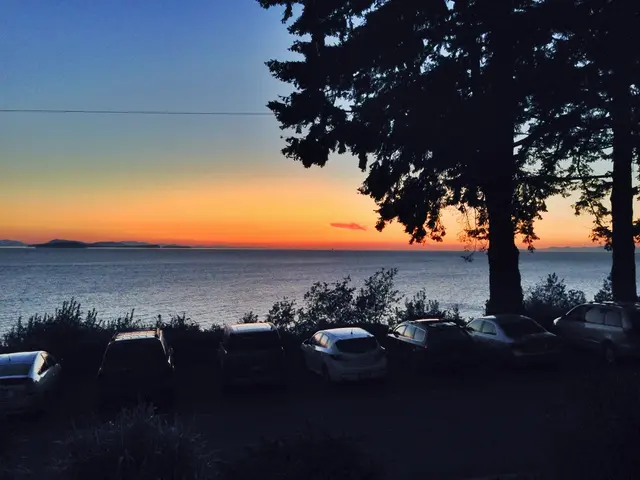 Venturing through Climate Challenges: Investment Strategies for Climate Resilience