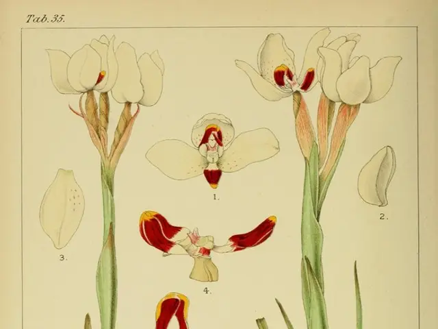 The eleventh edition of the periodical publication on our website titled "No Bees, No Life"...