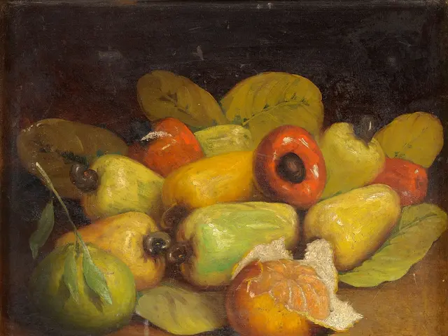 App available for iPhone users: Insights into Adobe's image editing application named Photoshop