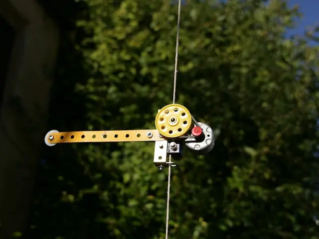 Re-formulated Title: A Bicycle's New Home: From Garbage to Treasure