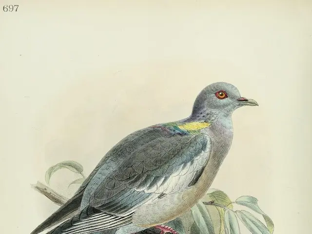 Steam Launch For Puzzle Game "Tingus Goose": Luxurious, Ad-Free, and Odder Than Before