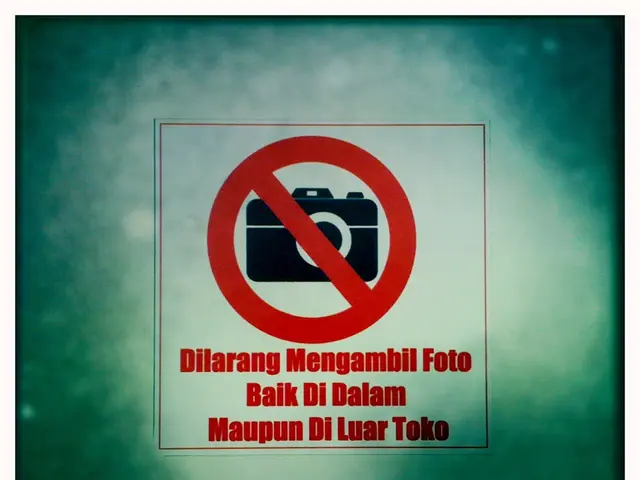 Smart Investment Opportunity: Five Persuasive Reasons to Acquire Nvidia Shares Immediately