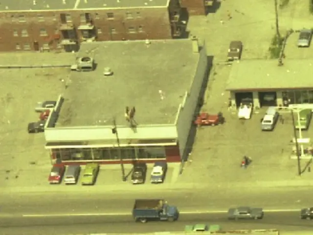 Car specialist shares tips on selecting vehicles produced in China