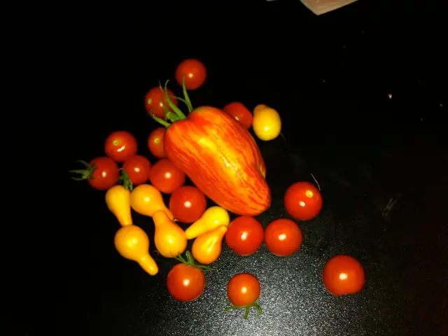 Spider Fruit Analysis: Abilities, Techniques, and Advantages & Disadvantages in Blox Fruits