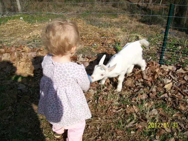 Soybean prices generally decreased in early morning trading on Monday