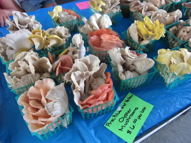 Buffet and Berkshire Hathaway Possibly Divesting from Kraft Heinz Shares?