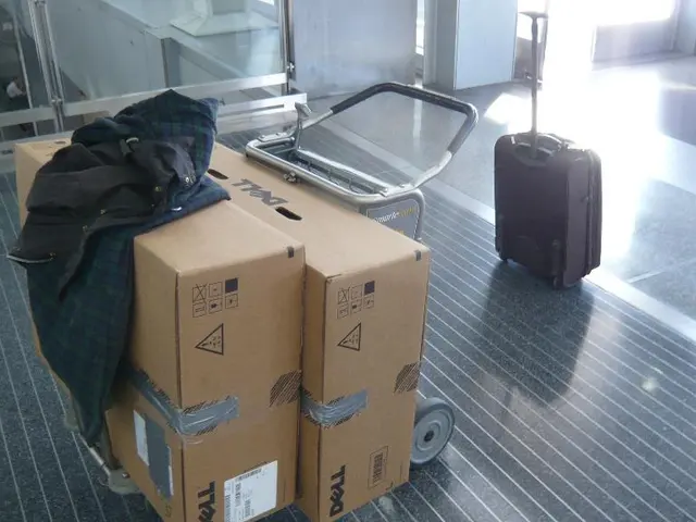 Location of Grounded 2 Luggage Code and Lock Combo