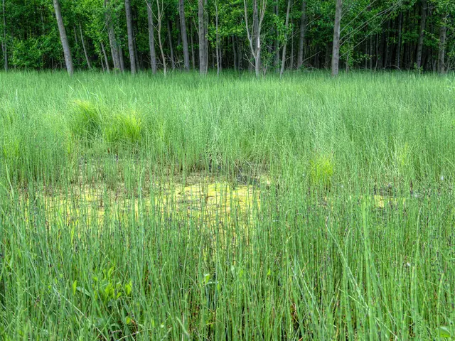 Investigating Financial Aspects of Agriculture: Discovering Its Influence on World Food...