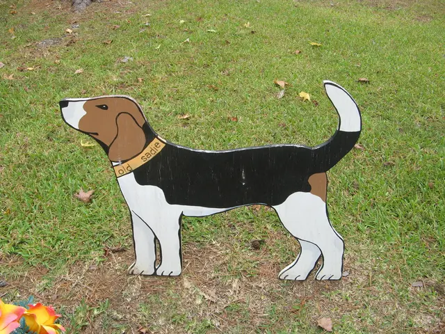 Dogecoin's Open Interest Exceeds $3 Billion, Anticipating DOGE Price to Break Through $0.24 Barrier