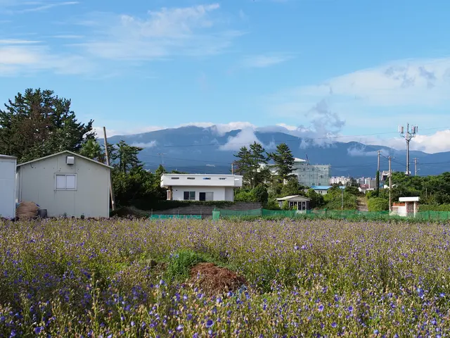 Giant Purchase of Tesla's Megapacks Reaches $2.7 Billion