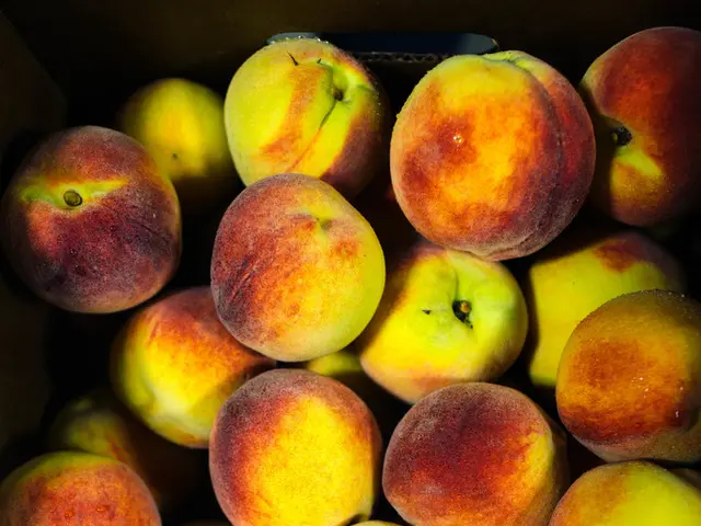 Trump discloses planned $100 billion investment by Apple